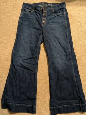 American Eagle Outfitters Dark Blue Wide Leg Button-Fly Jeans